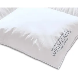 Kauffmann Weidegans Daunendecke Österreichische leicht