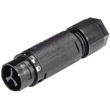 Wieland Electric 46.032.4553.1 Rundstecker Stecker, gerade Gesamtpolzahl: 2 + PE Serie (Rundsteckverbinder): RST® MINI 1 St.