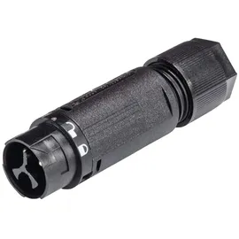 Wieland Electric 46.032.4553.1 Rundstecker Stecker, gerade Gesamtpolzahl: 2 + PE Serie (Rundsteckverbinder): RST® MINI 1 St.