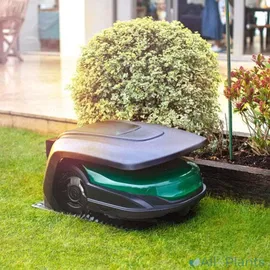 Robomow Mährobotergarage RoboHome