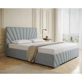panda möbel Polsterbett RAY - Komfortbett mit Stauraum, Doppelbett, Hellgrau, 160x200cm, Taschenfederkernmatratze, H3 - Hellgrau