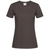 Stedman ST2600 Bronze M
