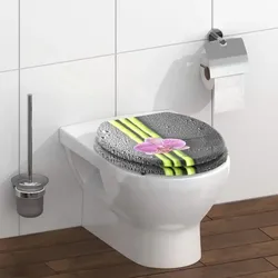 WC-Sitz in Anthrazit