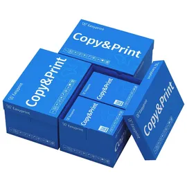easyprint Kopierpapier A4 80 g/m2 30 x 500 Blatt