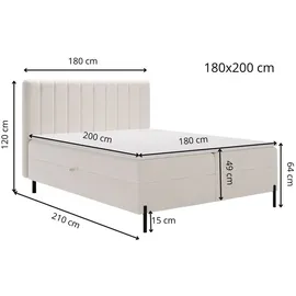 GRAINGOLD Boxspringbett Primavera 180x200 - Bett mit Matratze und Topper - Boxspringbett mit Bettkasten und Matratze - Boxspringbett Schwarz (Komod... - Schwarz