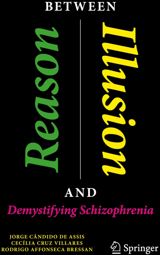 Between Reason And Illusion - Jorge Cândido de Assis  Cecília Cruz Villares  Rodrigo Affonseca Bressan  Kartoniert (TB)
