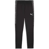 Puma Herren Sporthose, teamLIGA26 Training Pants+ 3XL