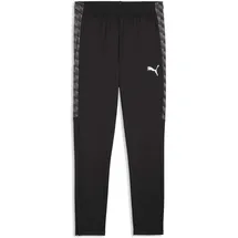 Puma Herren Sporthose, teamLIGA26 Training Pants+ 3XL