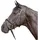 Kieffer Trensenzaum Ultrasoft - schwarz - Pony