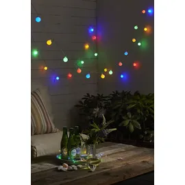 Star Trading LED Lichterkette Berry 50x bunt (476-44)