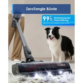 Tineco Pure One S30