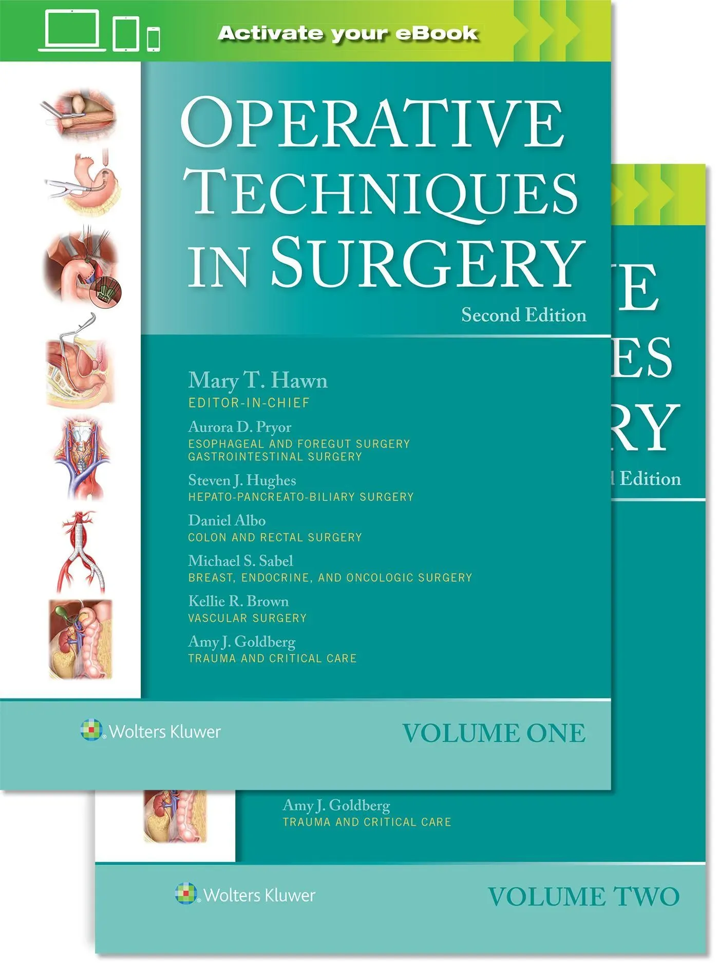 Operative Techniques In Surgery - Mary Hawn  Gebunden