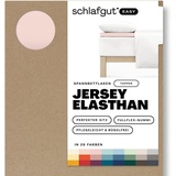 SCHLAFGUT Easy Spannbettlaken für Topper Jersey Elasthan 140 x 200 - 160 x 220 cm purple light