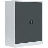 Flügeltürenschrank komplett montiert Metallschrank abschließbar 100x80x38cm Lagerschrank Aktenschrank 2 Fachböden 530318 grau/anthrazit