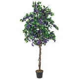 Europalms Bougainvillea, lavendel, 150cm
