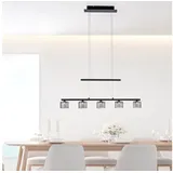 Paul Neuhaus LED-Pendelleuchte Hydra Alu, Eisen, Stahl & Metall Schwarz
