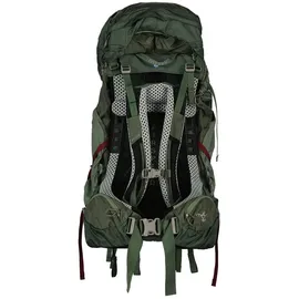 Osprey Aura AG LT 50 Unisex Rucksack Koseret/Darjeeling Spring Green