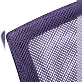 CLP Genius Netzbezug Lila