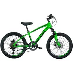 Montana, OLMO Mountainbike 20 Zoll Demonte, grün