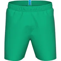 Arena Herren Fundamentals Logo Boxer Swim Trunks, Green Quartz-Purple Blue, M