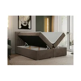 MKS Meble Boxbett mit Bettkasten ¦ braun ¦ Maße (cm): B: 140 H: 125