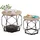 Woltu Couchtisch Helle Eiche Schwarz 2er Set 0 x 0 cm