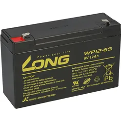 AGM BLEI AKKU BATTERIE 6V 12Ah kompatibel für USV BLEIGEL GEL + LADEGERÄT