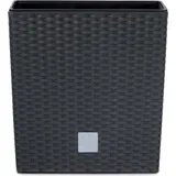 Prosperplast Rato Low 22,3 x 22,3 x 22,8 cm anthrazit