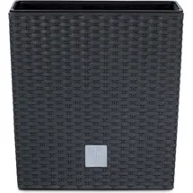 Prosperplast Rato Low 22,3 x 22,3 x 22,8 cm anthrazit
