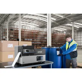 Epson ColorWorks C8000e Schwarz/Grau