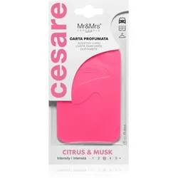 Mr & Mrs Fragrance Cesare Citrus & Musk Duftkerzen 1 St.