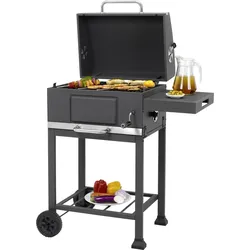 Tepro Holzkohlengrill Toronto Basic