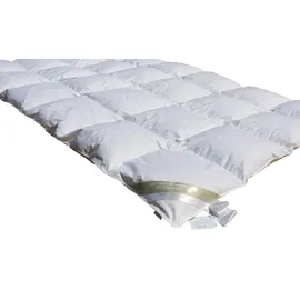 Betten Hofmann White Sibiria Schneegänseflaum Daunendecke Daunenbett Bettdecke 6x7 240x220 cm - Schwarz
