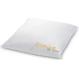HANSKRUCHEN Premium de Luxe Daunenkissen 80 x 80 cm Weiß