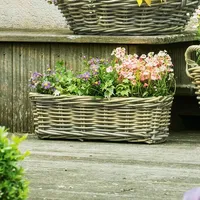 Dekoleidenschaft Rattan Pflanzkasten Koboo Grey 46 cm lang, grau,