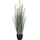 Creativ green Kunstgras CREATIV GREEN "Gras Juncus", grün, H:60cm, Kunststoff, Kunstpflanzen, mit zarten Blüten
