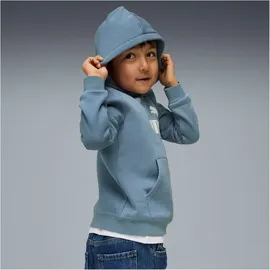 Puma Hoodie Coolblue 116