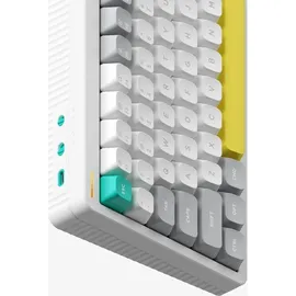 nuphy Halo75 V2 IO Brown Max US