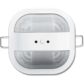 Busch-Jaeger KNX AP-Wächter 6131/40-24