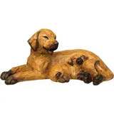 Ambiente Haus Hund mit Welpe braun liegend