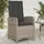 vidaXL Gartensessel mit Kissen 2 Stk. Verstellbar Grau Poly Rattan