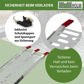 Trutzholm Auffahrrampe 228 cm 340 kg klappbar Aluminium gelocht silber 1 St.