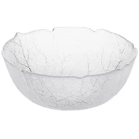 Arcoroc Aspen transparent 1-tlg.