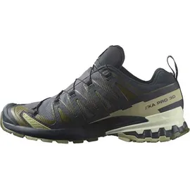 Salomon XA Pro 3D V9 GTX Herren India Ink/Olive Night/Aloe Wash 46