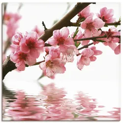 Artland Wandbild »Pfirsichblüten reflektieren im Wasser«, Blumen, (1 St.), als Leinwandbild in verschied. Größen Artland Farbe Bild(er): pink