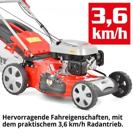 Hecht 551 SX