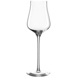 LEONARDO 6er Set Leonardo Schnapsglas Brunelli 210 ml Glas Transparent Klar