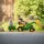 Rolly Toys John Deere mit Anhänger und Lader (811496)