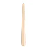 Spitzkerzen Champagner 24 x 2,3 cm beige 12 St.