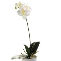 artplants.de Künstliche Orchidee Phalaenopsis ISIS, Steckstab, weiß, 40cm - Kunstorchidee